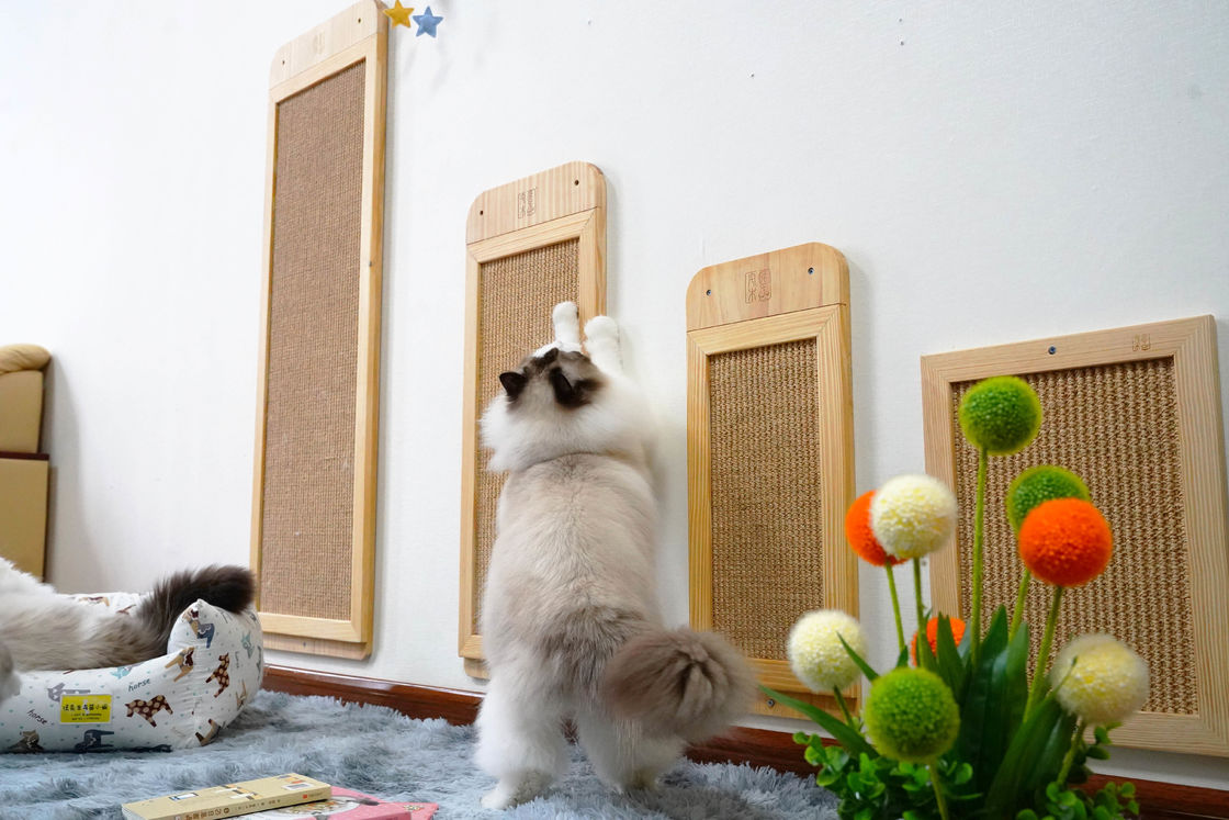 Прочной пол установленный стеной кота сизаля Scratcher столба места 40*30cm 30*76cm 40*120cm