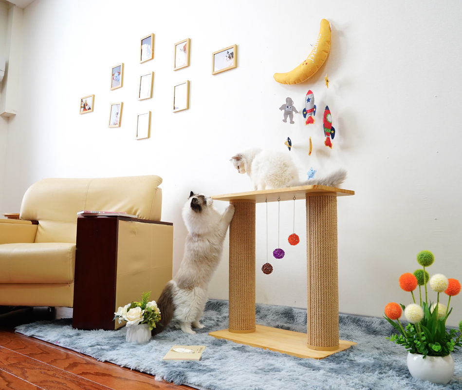 Дерево 60*30*63cm доски царапины кота двойного слоя твердое